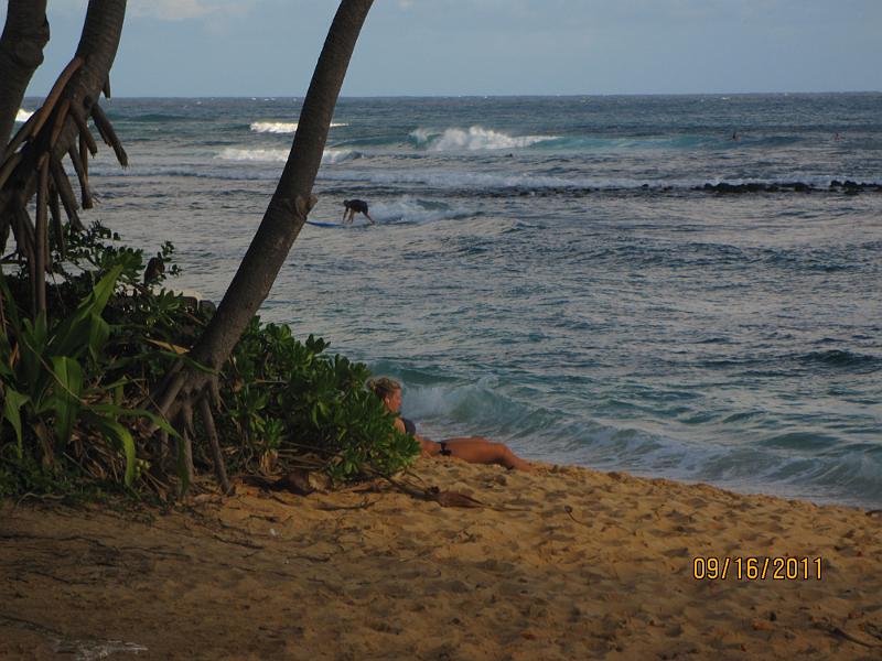 Picture 061